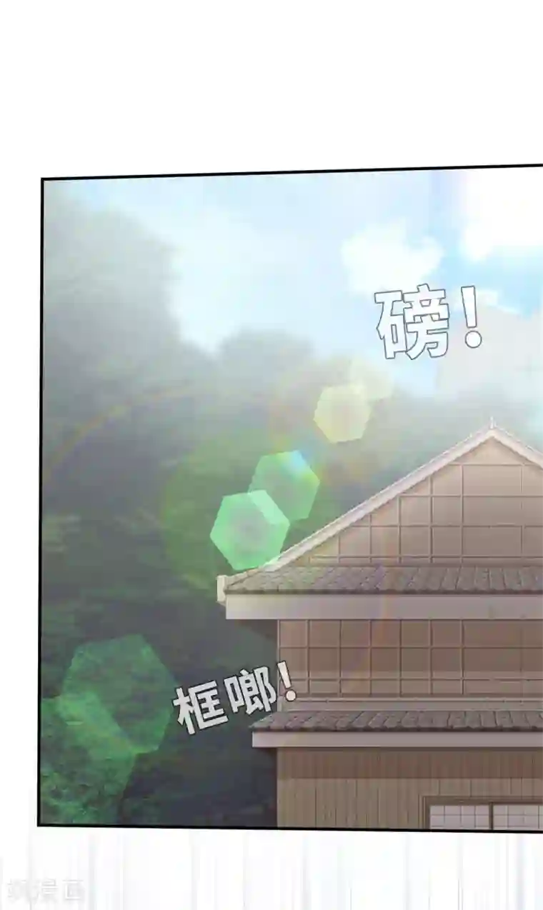 茶叶少女回忆篇4