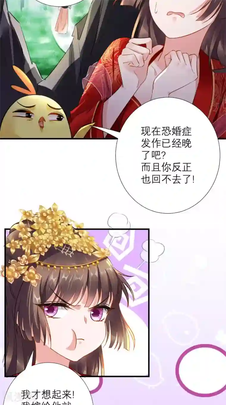 这个王妃有点皮最终话 执子之手与子偕老