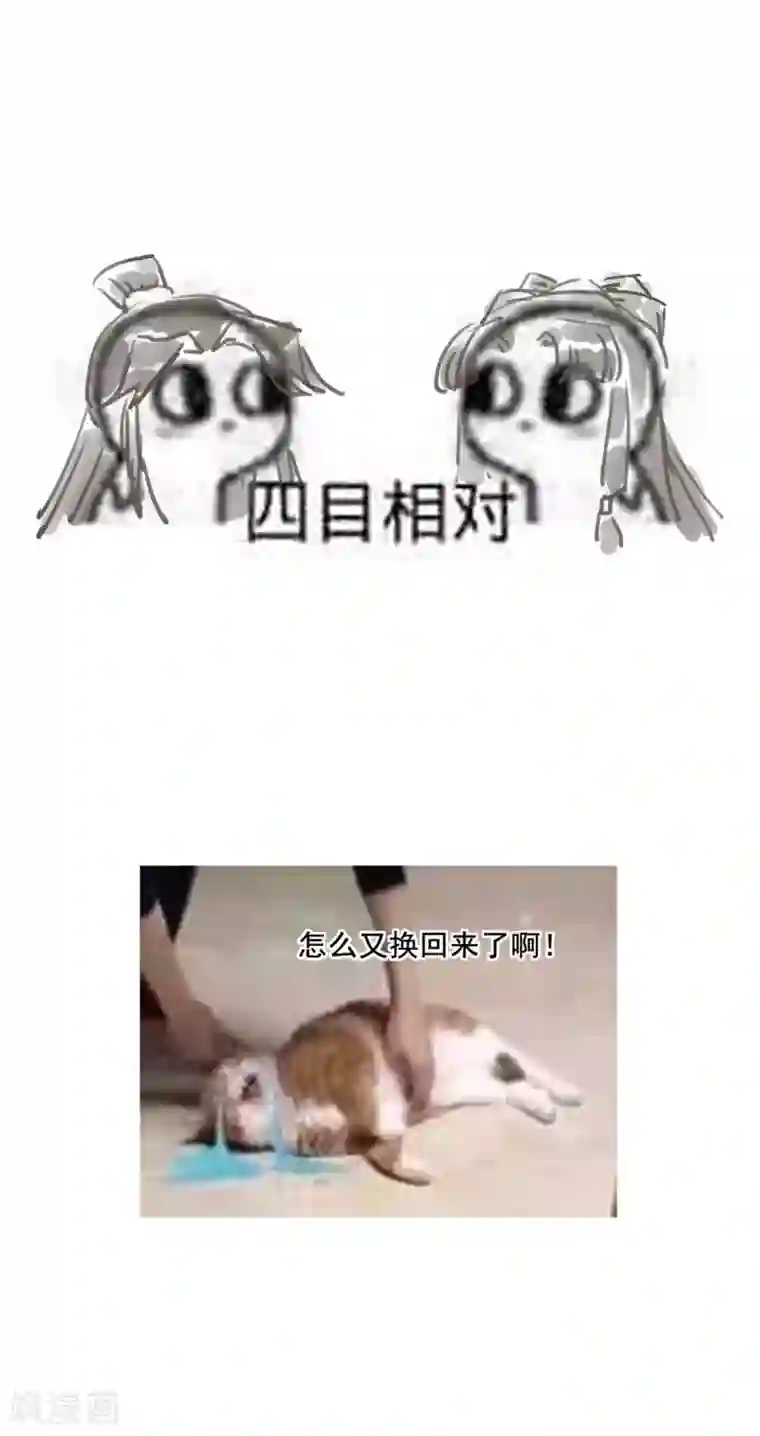 本宫要做皇帝第47话 历史总是惊人的相似