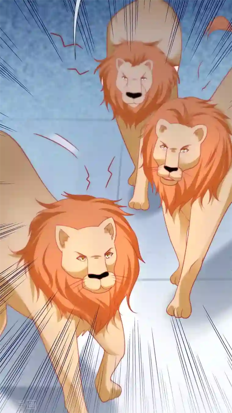 王的第一宠后第34话 开挂的驯兽公主