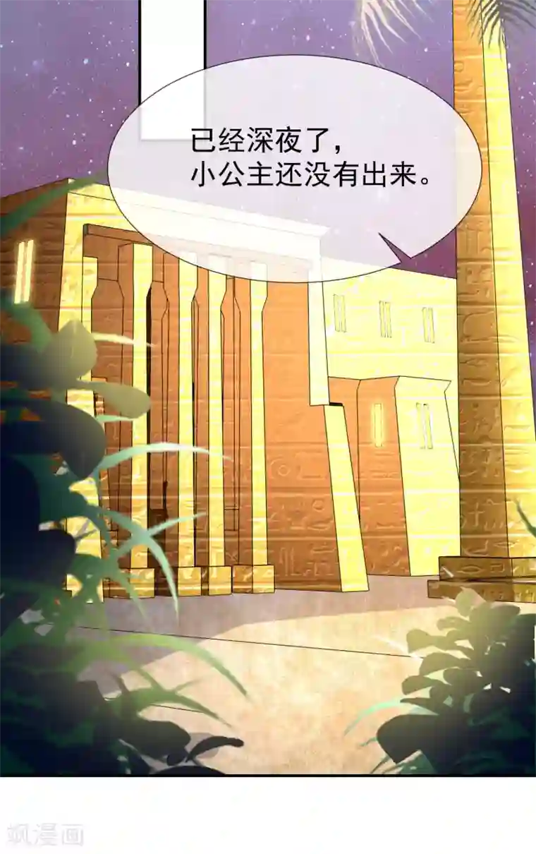 王的第一宠后第35话 神室里的秘密