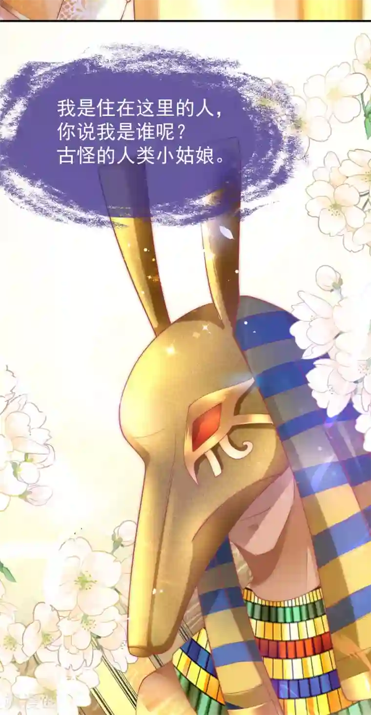 王的第一宠后第35话 神室里的秘密