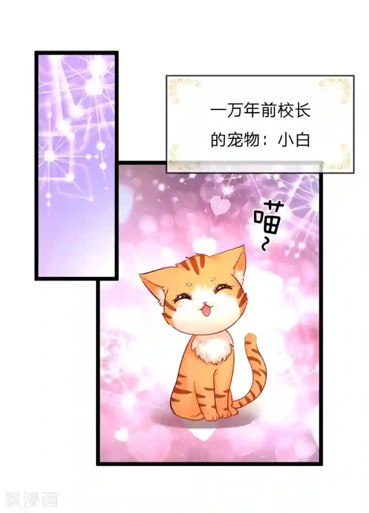 皇帝陛下的天价宝贝第128话 小白是谁