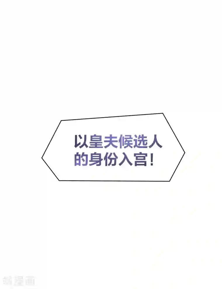 我家陛下总想祸国第5话2 皇夫候选人