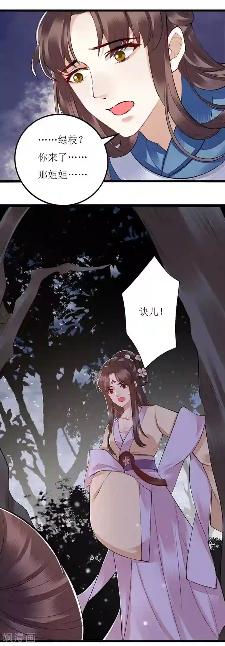 一品嫡女第103话 连诀中毒