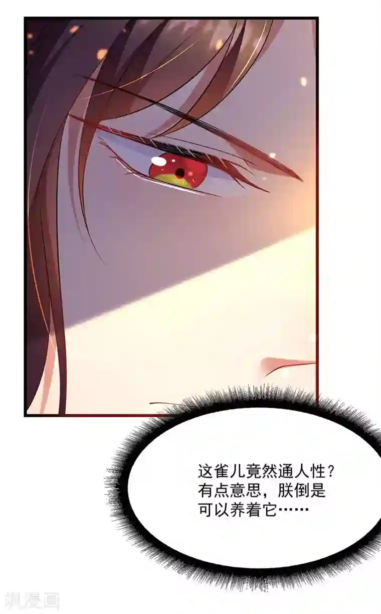 我在后宫当大佬第3话 任务太难，撤