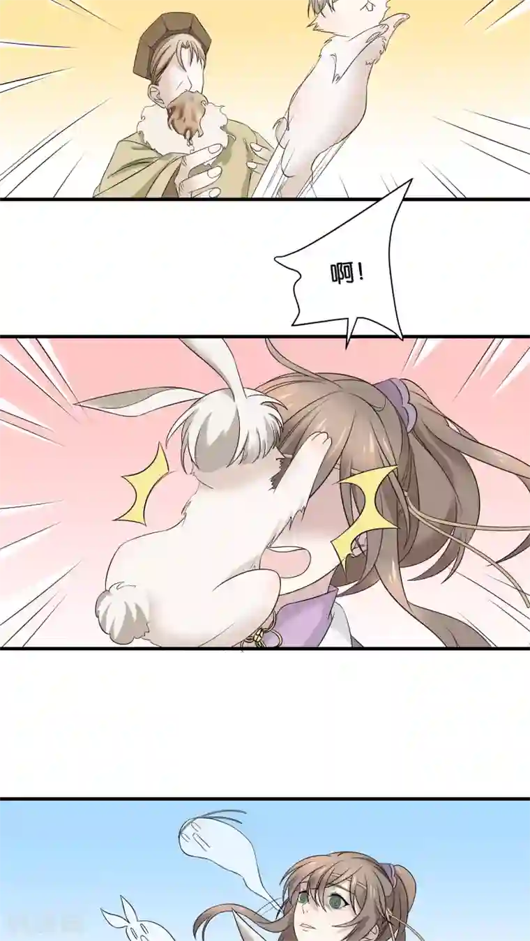 往生玉第17话 给肥兔子牵姻缘