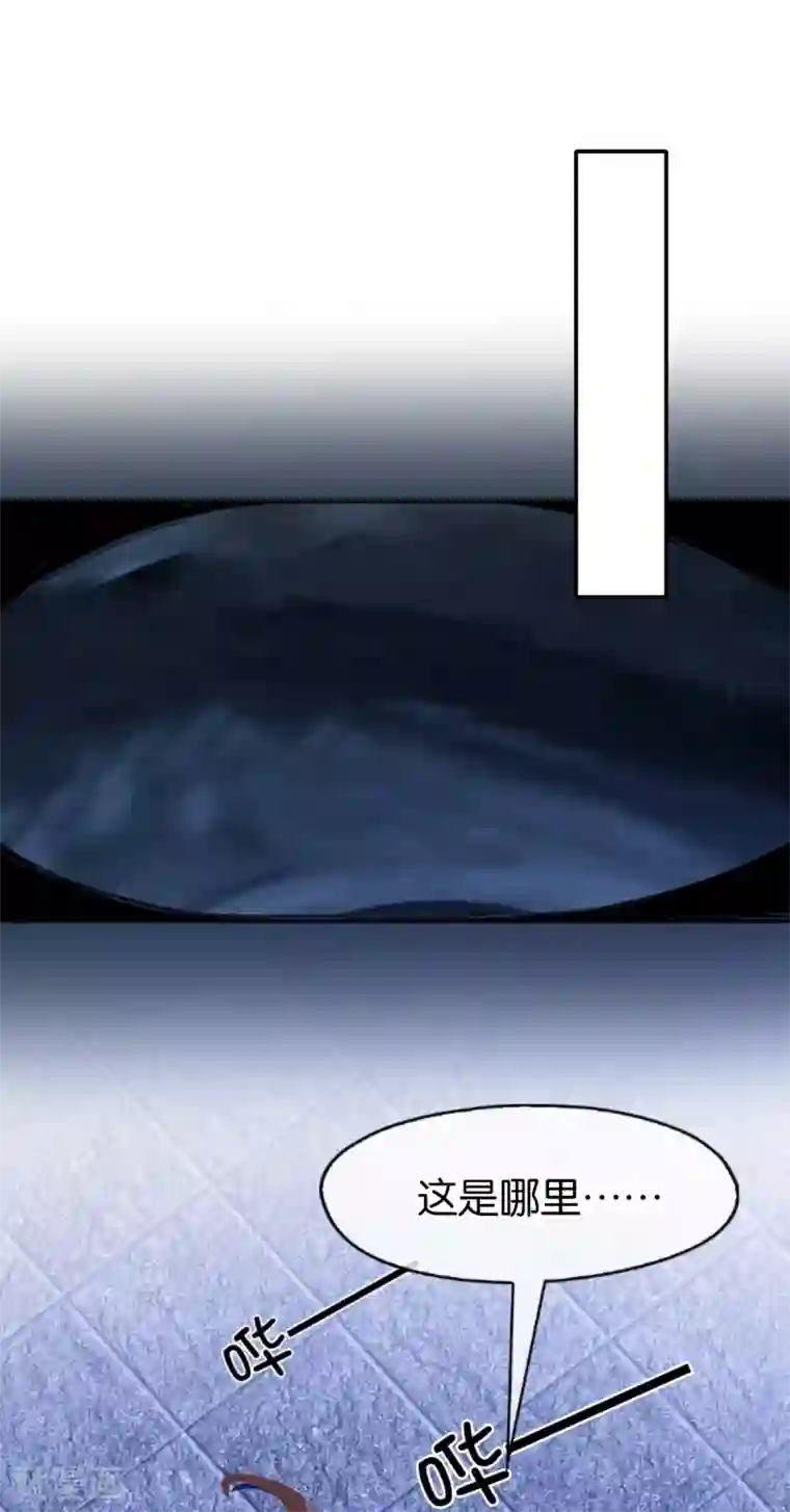 倾城狂妃第140话