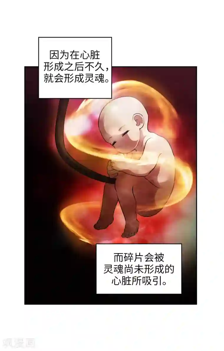 阿多尼斯第278话 我被追杀的原因