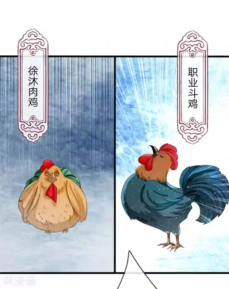 史上第一纨绔第88话 徐沐肉鸡VS职业斗鸡