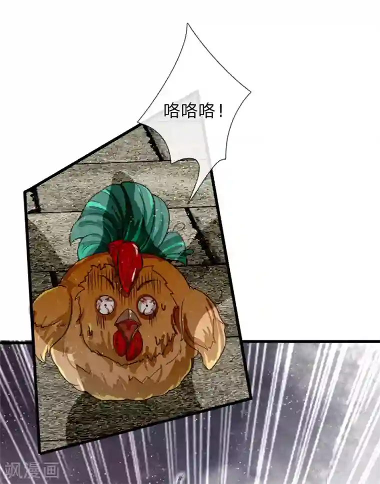 史上第一纨绔第88话 徐沐肉鸡VS职业斗鸡