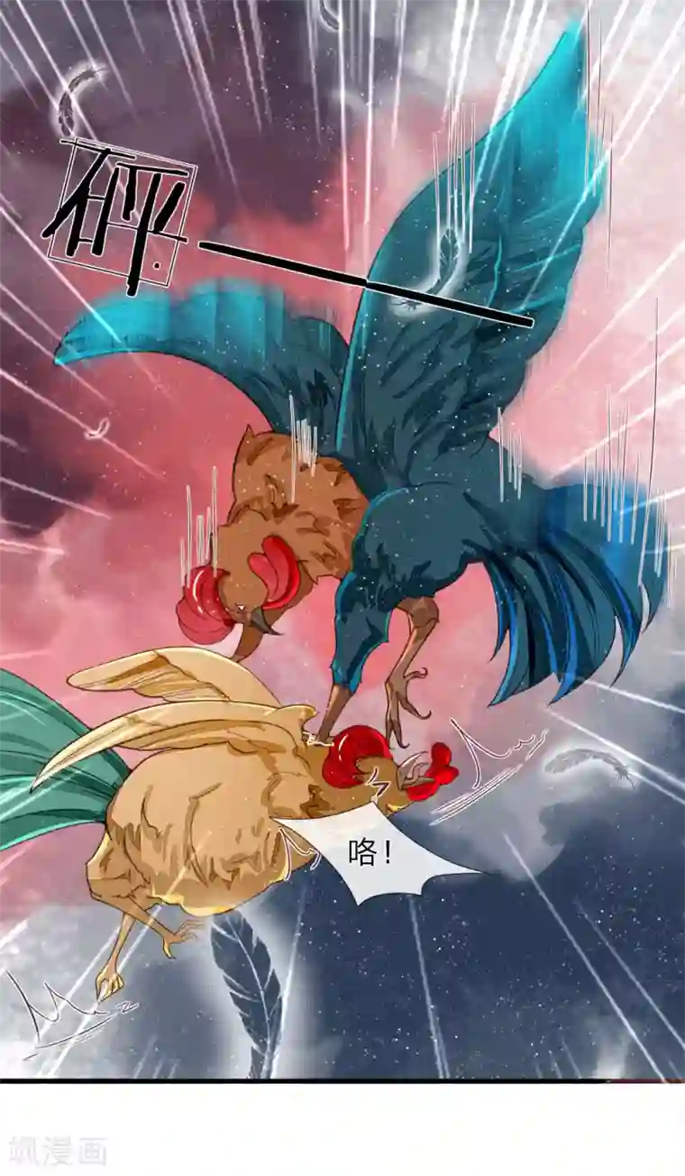 史上第一纨绔第88话 徐沐肉鸡VS职业斗鸡