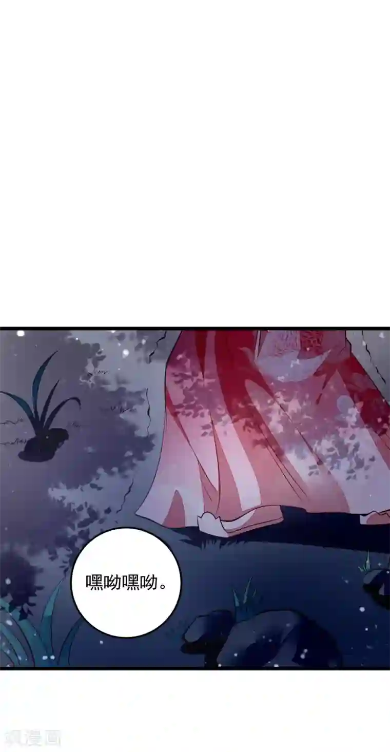 帝凰之神医弃妃第68话 得救