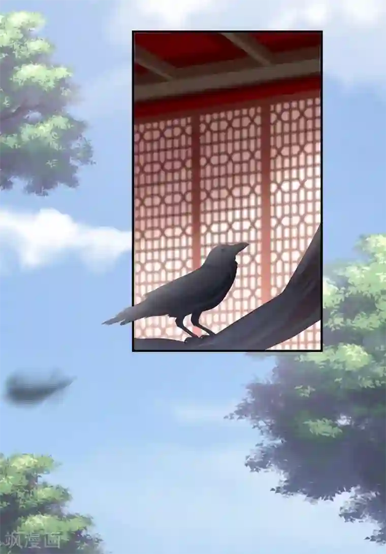 女帝的后宫第149话 一刀两断