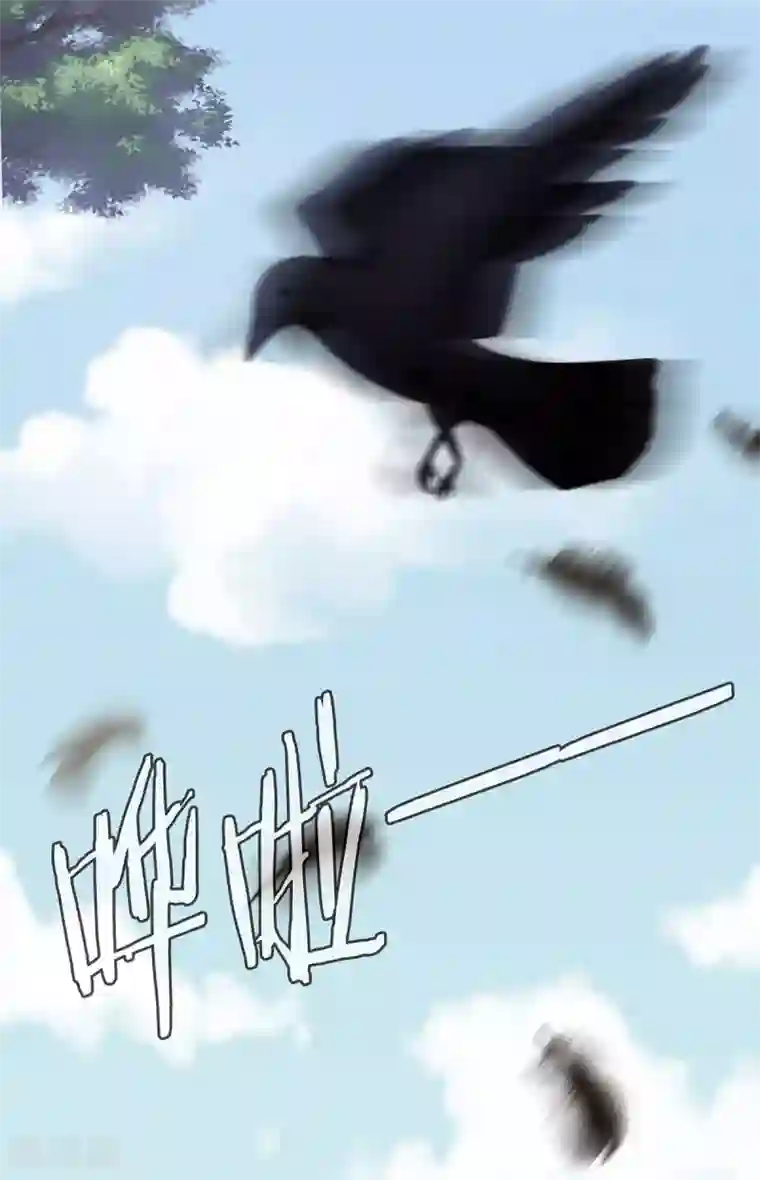 女帝的后宫第149话 一刀两断