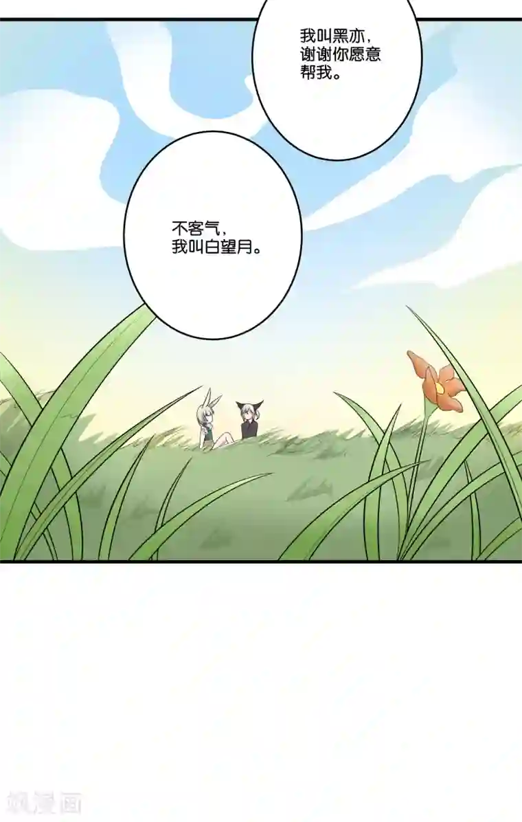 往生玉第17话 给肥兔子牵姻缘