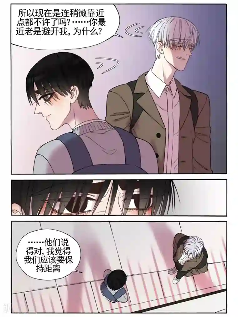 Butterfly第19话