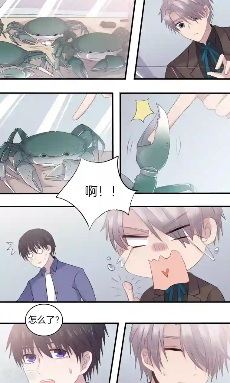 真假情人第25话 呼之欲出
