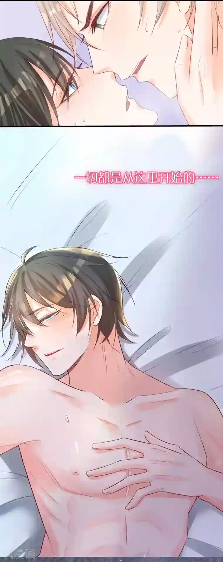 恋爱令人头秃预告