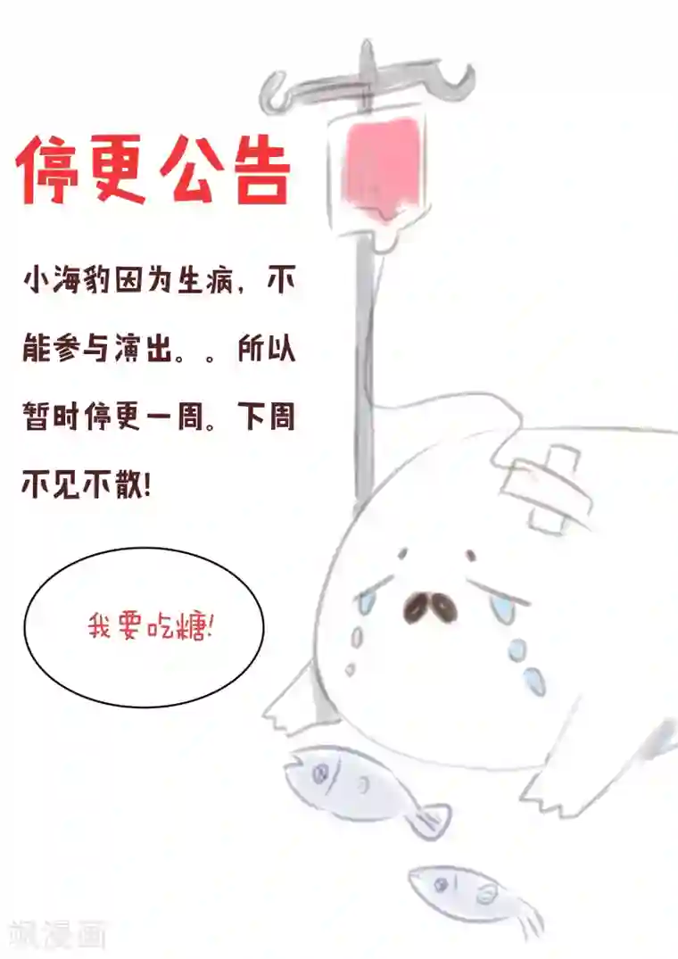 海豹理论停更公告