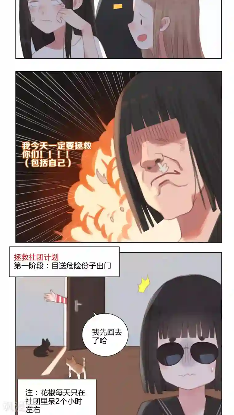 海豹理论第11话