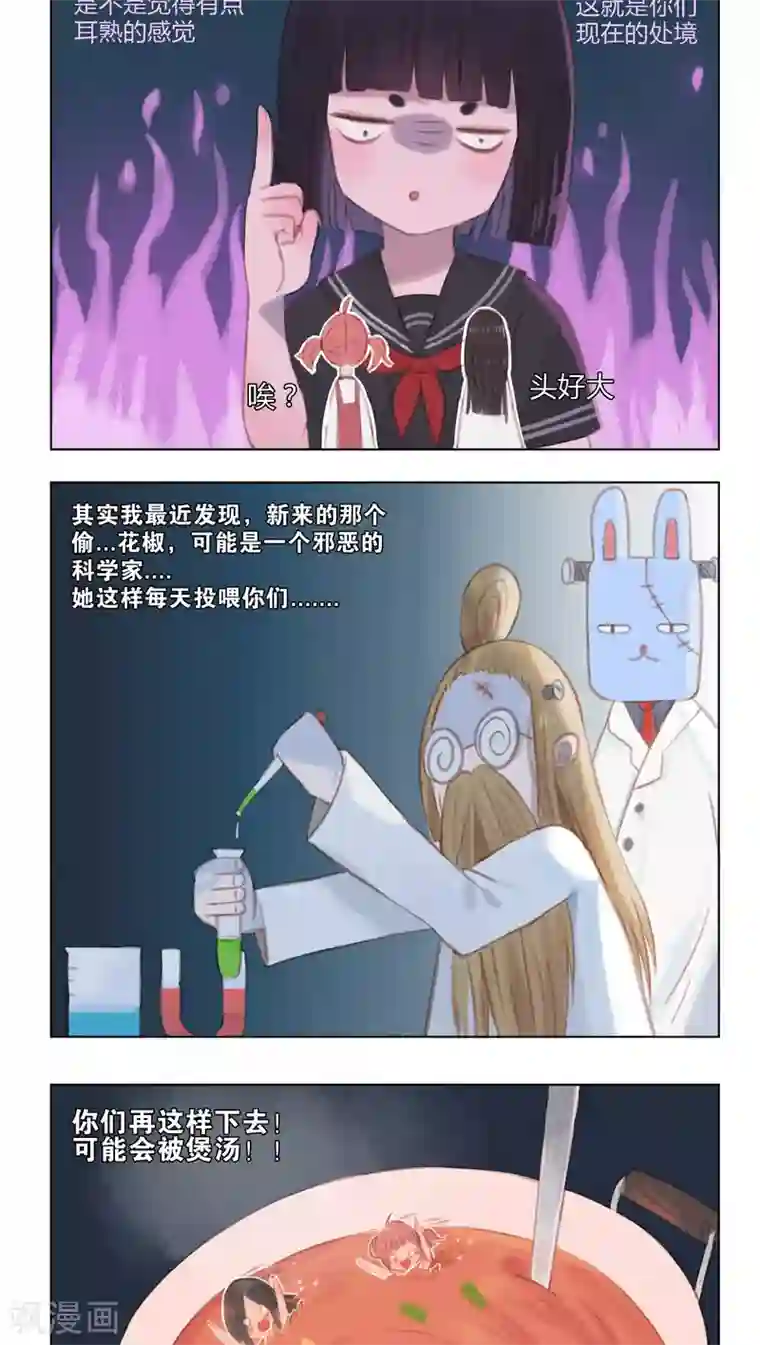 海豹理论第11话