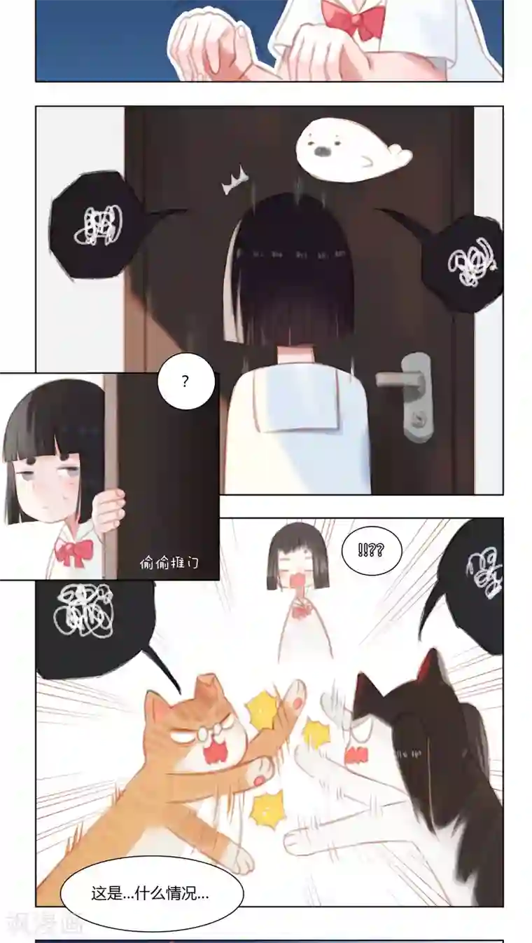 海豹理论第16话