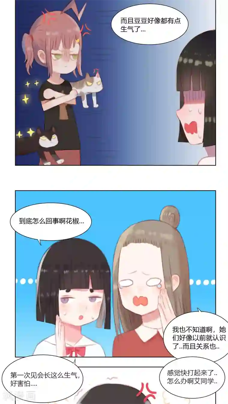 海豹理论第16话