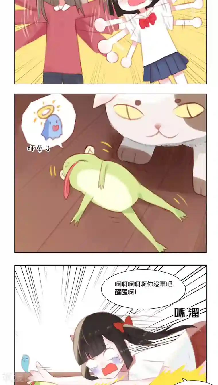 海豹理论第17话