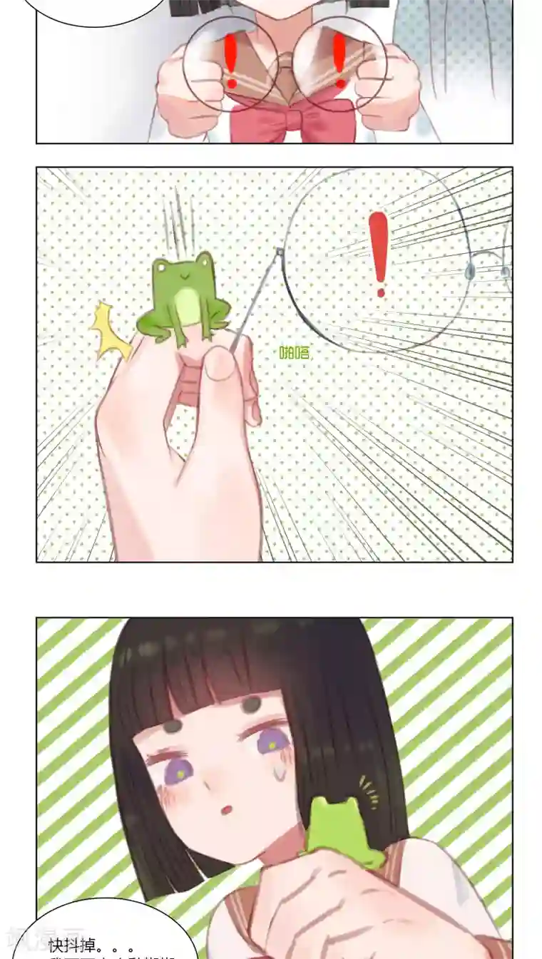 海豹理论第21话