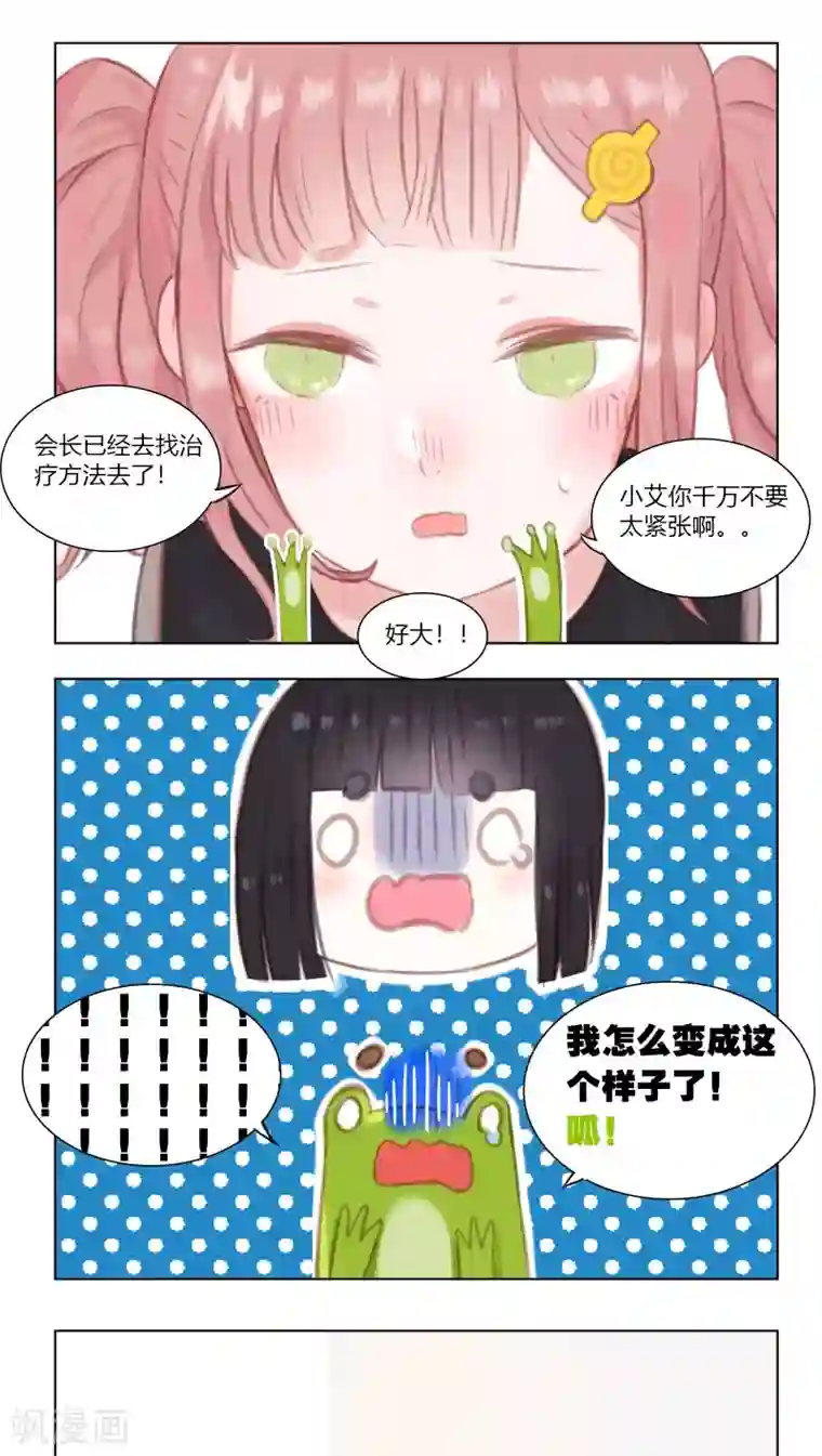 海豹理论第21话