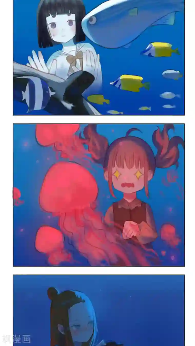 海豹理论第22话