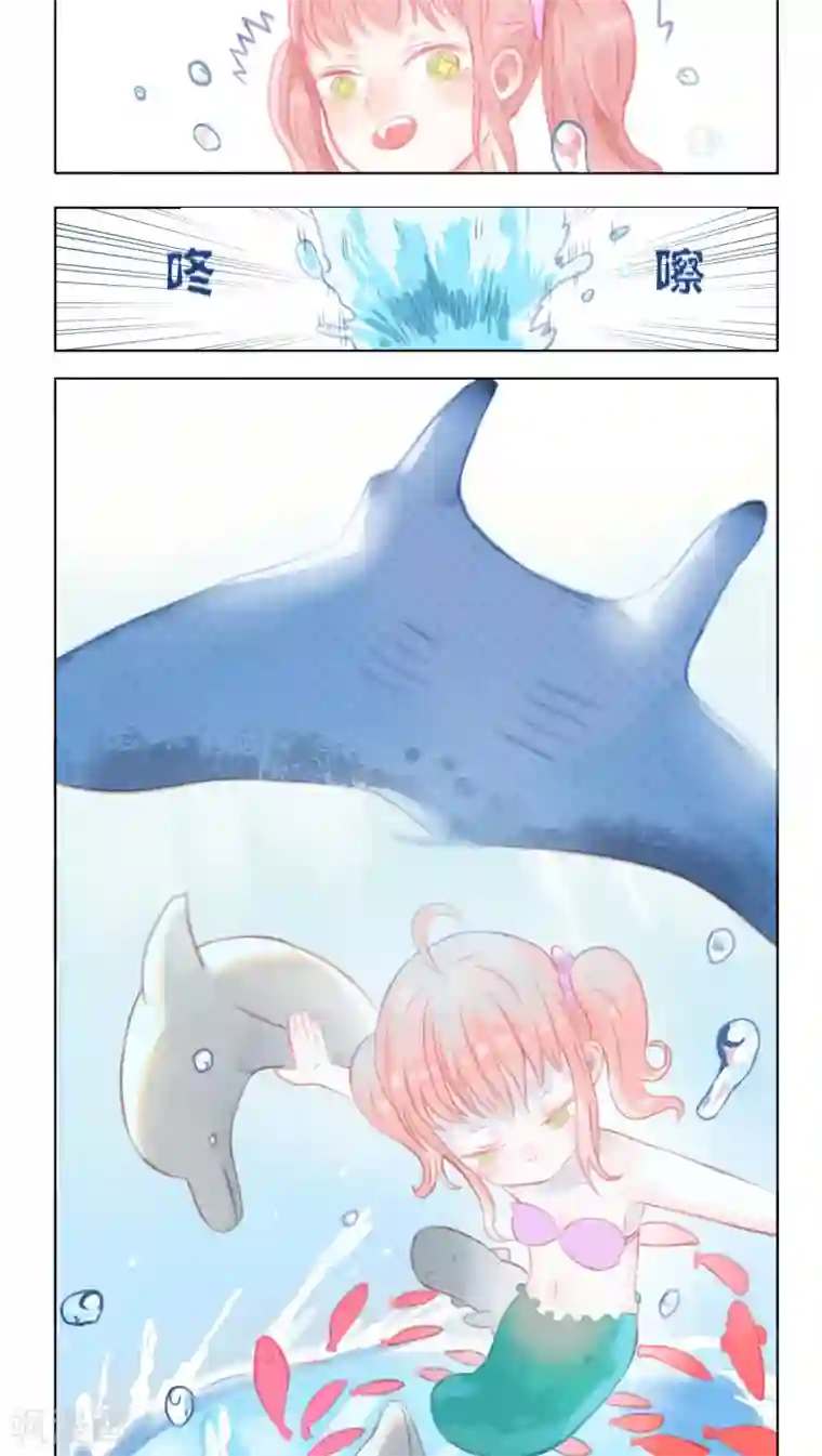 海豹理论最终话