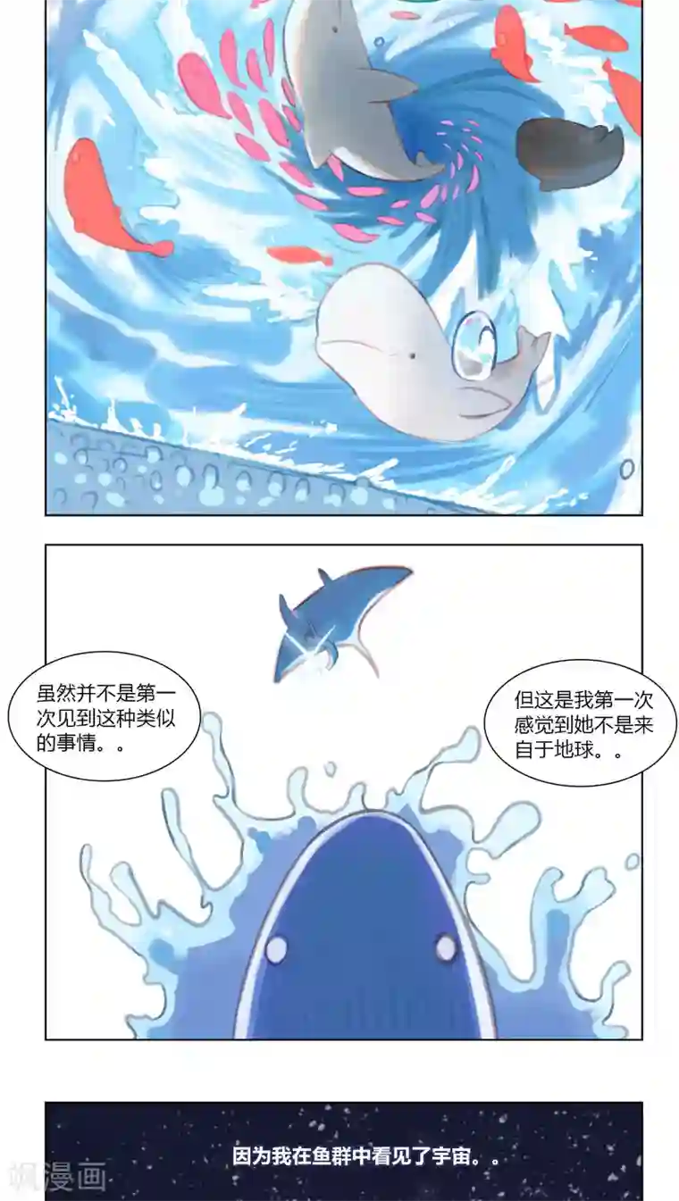 海豹理论最终话