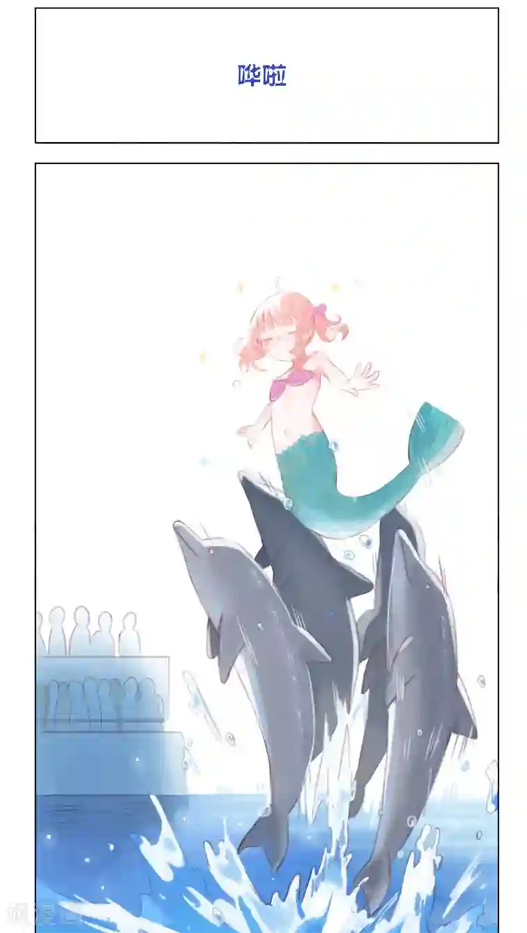 海豹理论最终话