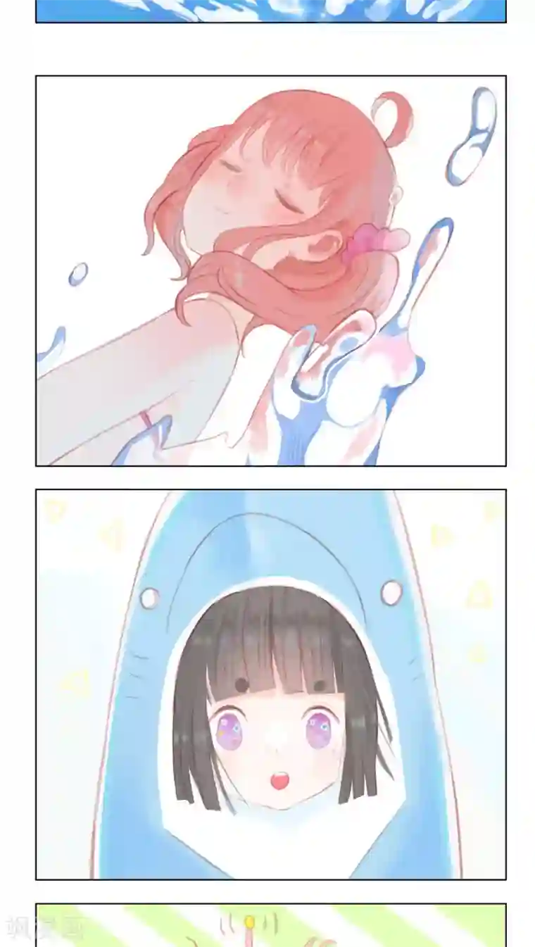 海豹理论最终话