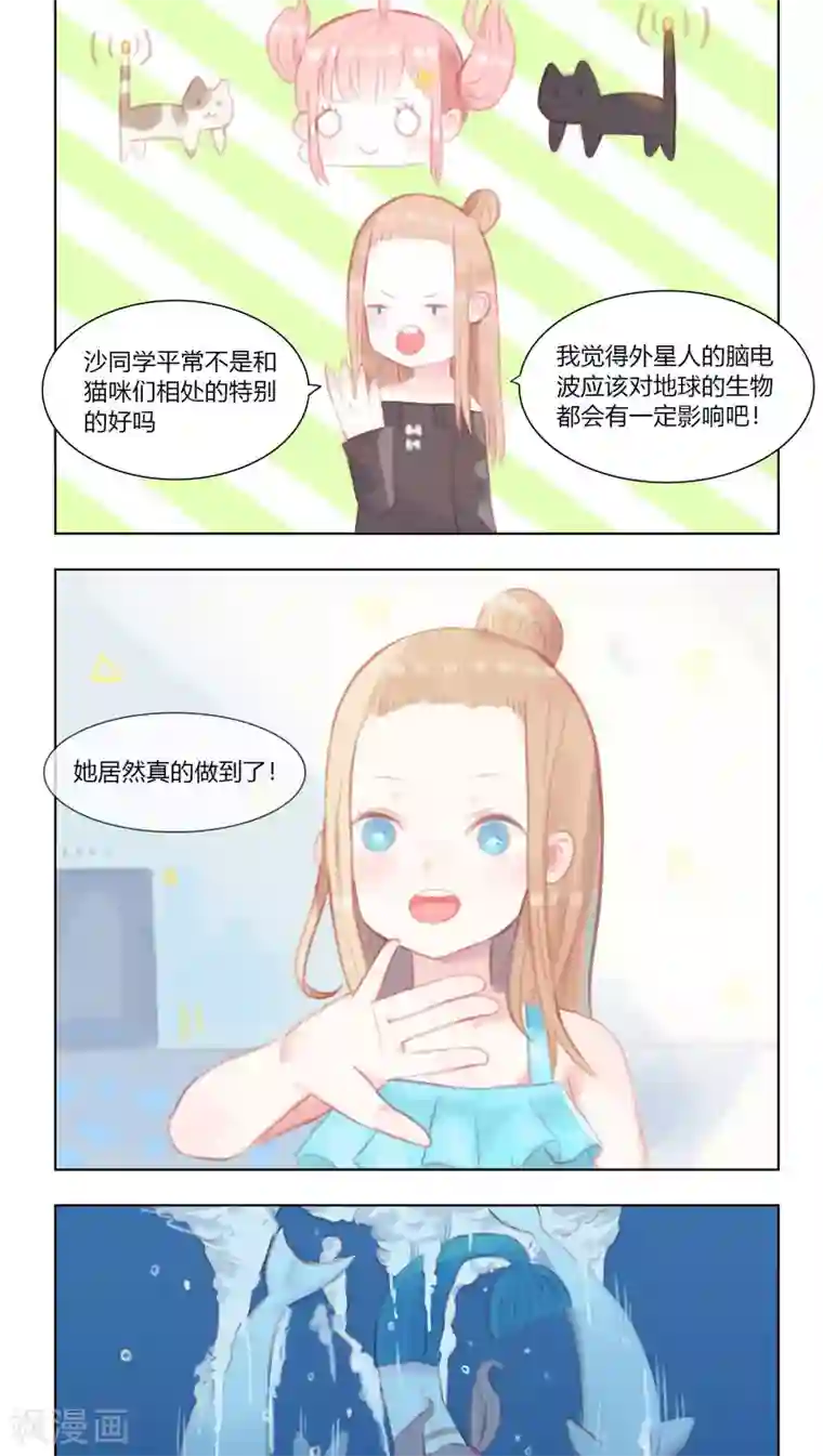 海豹理论最终话