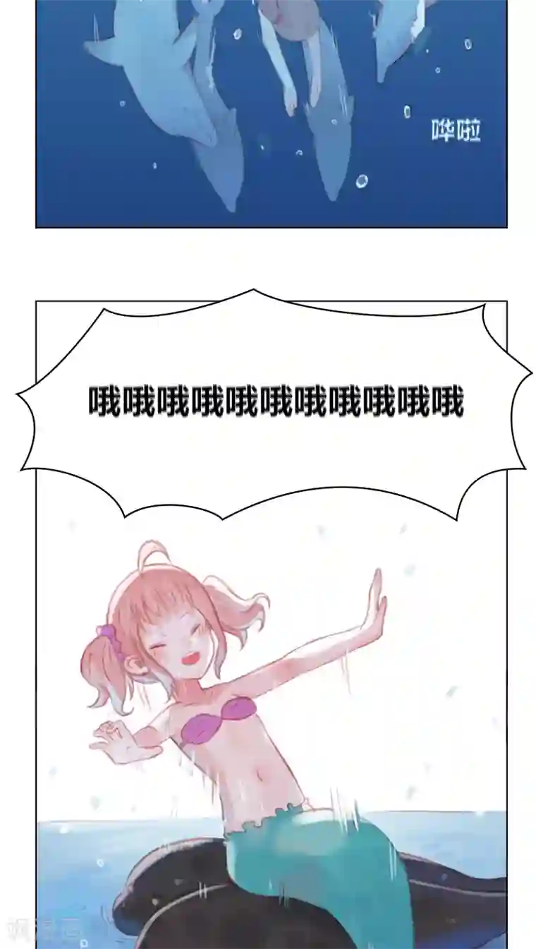 海豹理论最终话