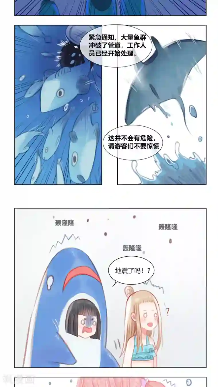 海豹理论最终话