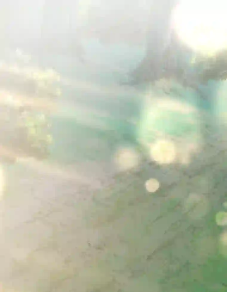 她住在你心里好多年第13话 少年时的玩伴呀