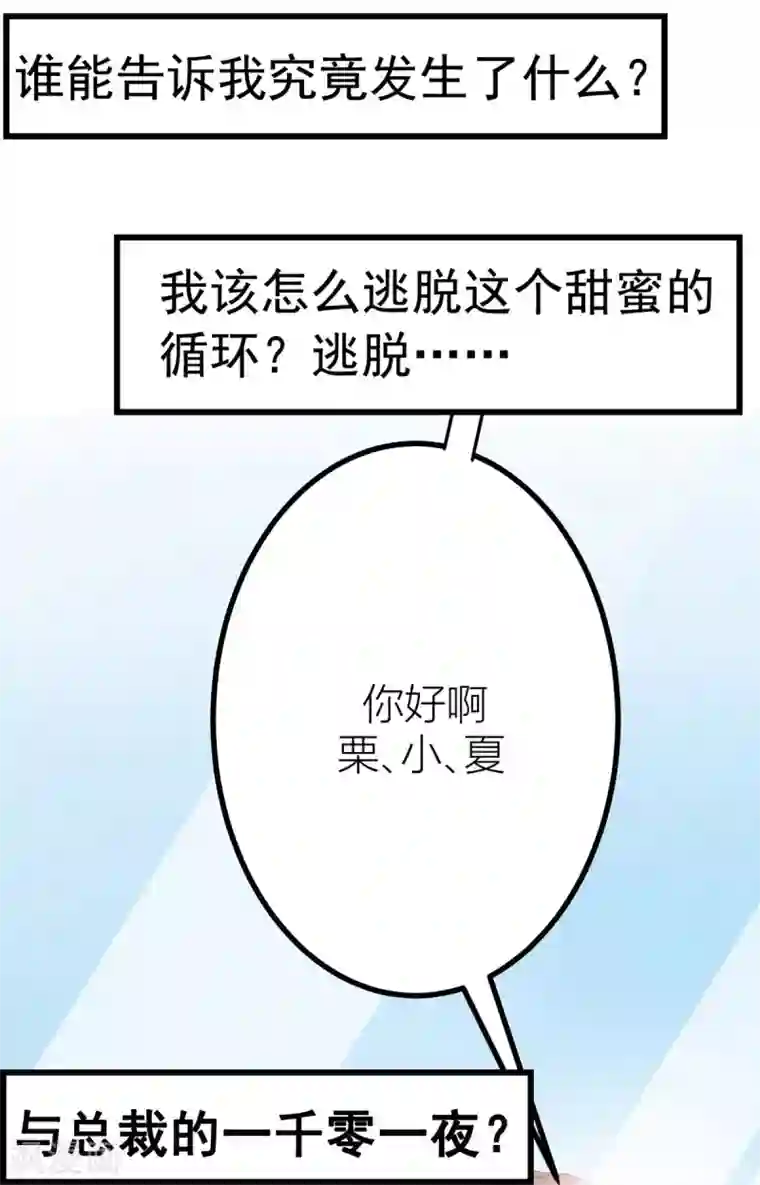 与总裁的一千零一夜预告