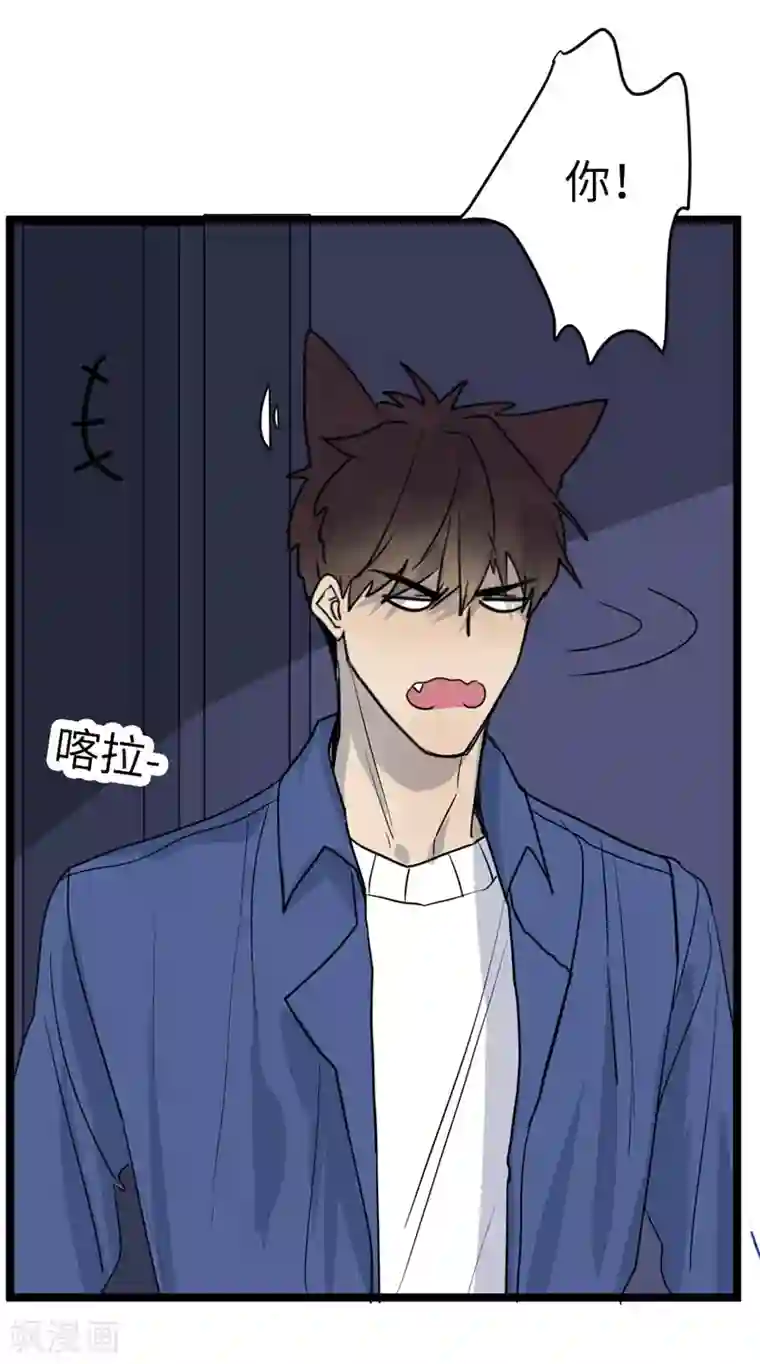 欧米茄档案第20话 新婚自杀殉情案2