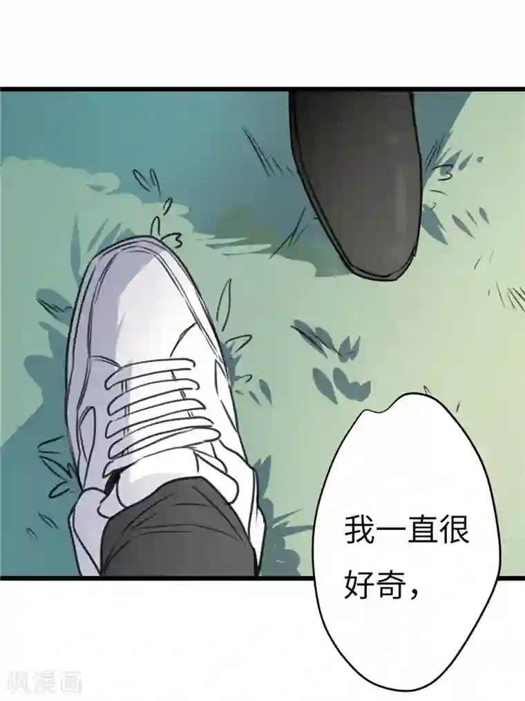 欧米茄档案第21话 新婚自杀殉情案3