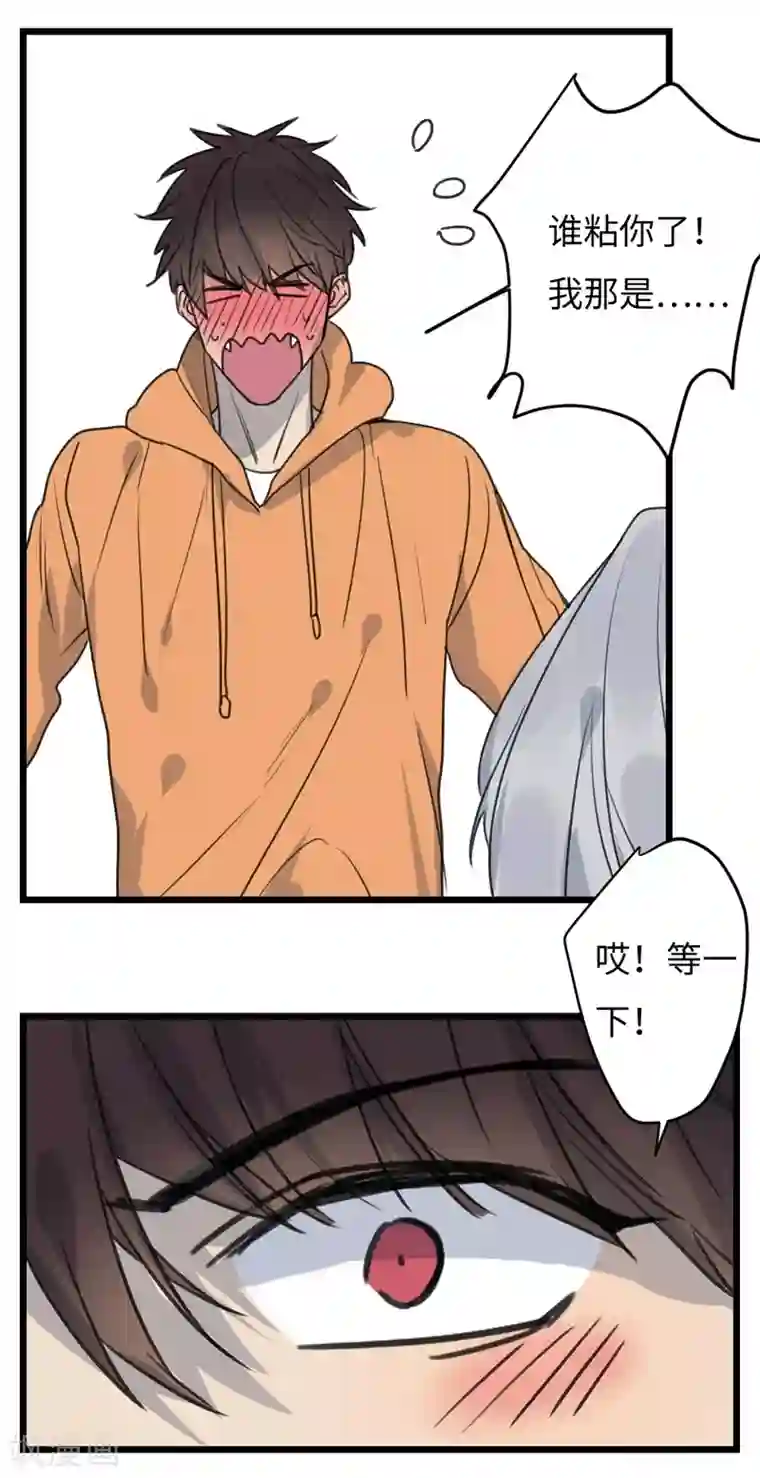 欧米茄档案第25话 新婚自杀殉情案7