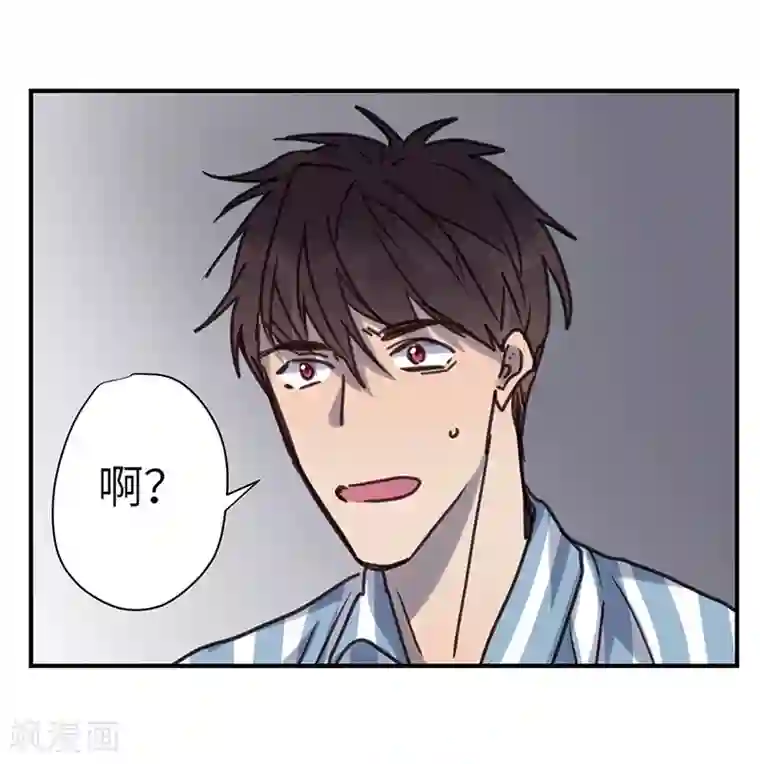 欧米茄档案第39话 网戒中心杀人案11