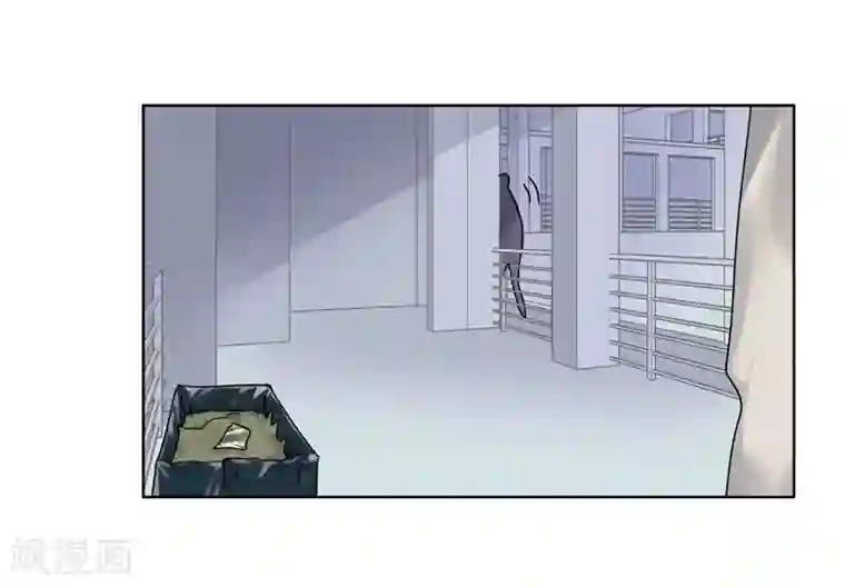 欧米茄档案第72话 雨夜屠夫案4