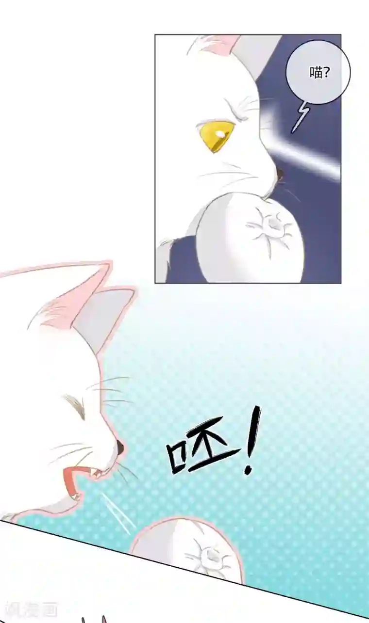 师傅，我偷时间来养你第2话 掌门印记