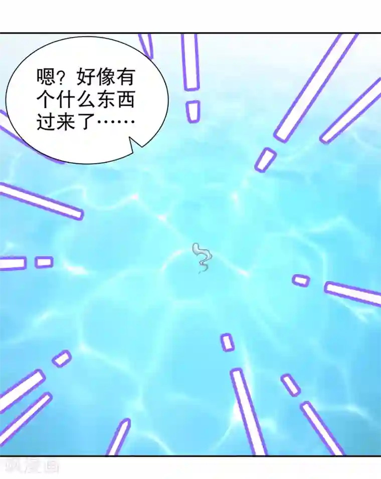网游之最强算命师第78话 肉搏的算命师见过吗？