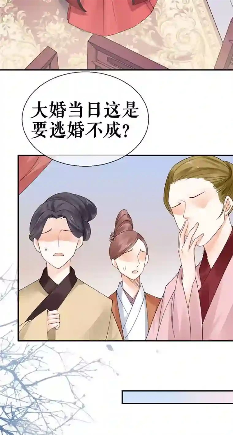 桑落醉在南风里第35话 逃婚