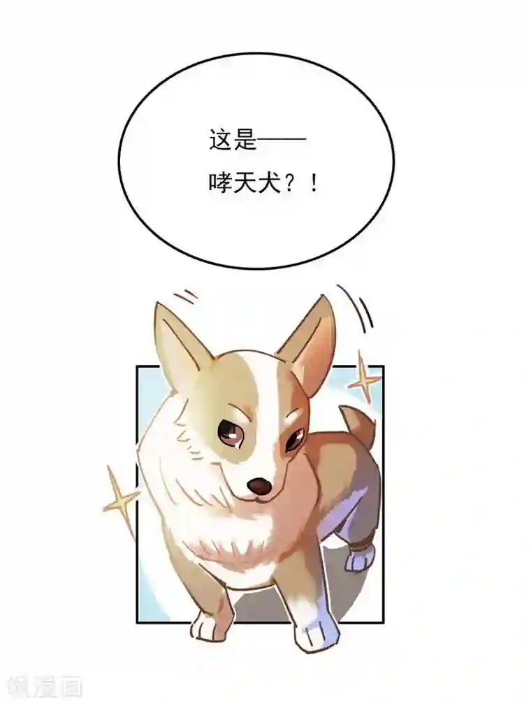 神仙学院（星际互娱）第19话 暗访“后援会”